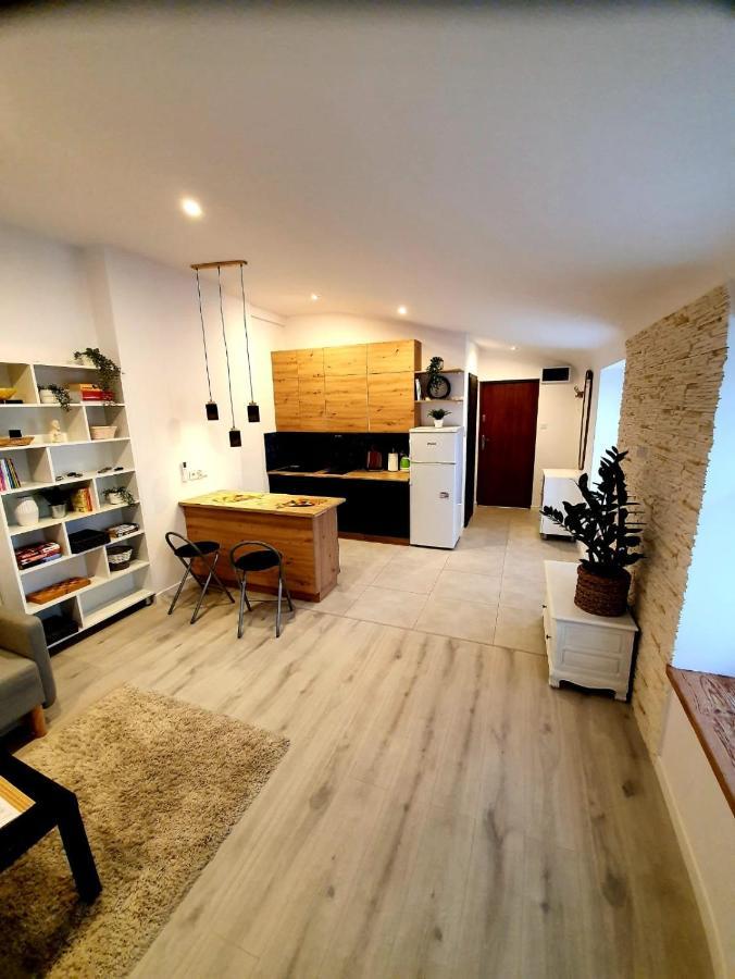 Borzecin Duzy Countryside Studio מראה חיצוני תמונה