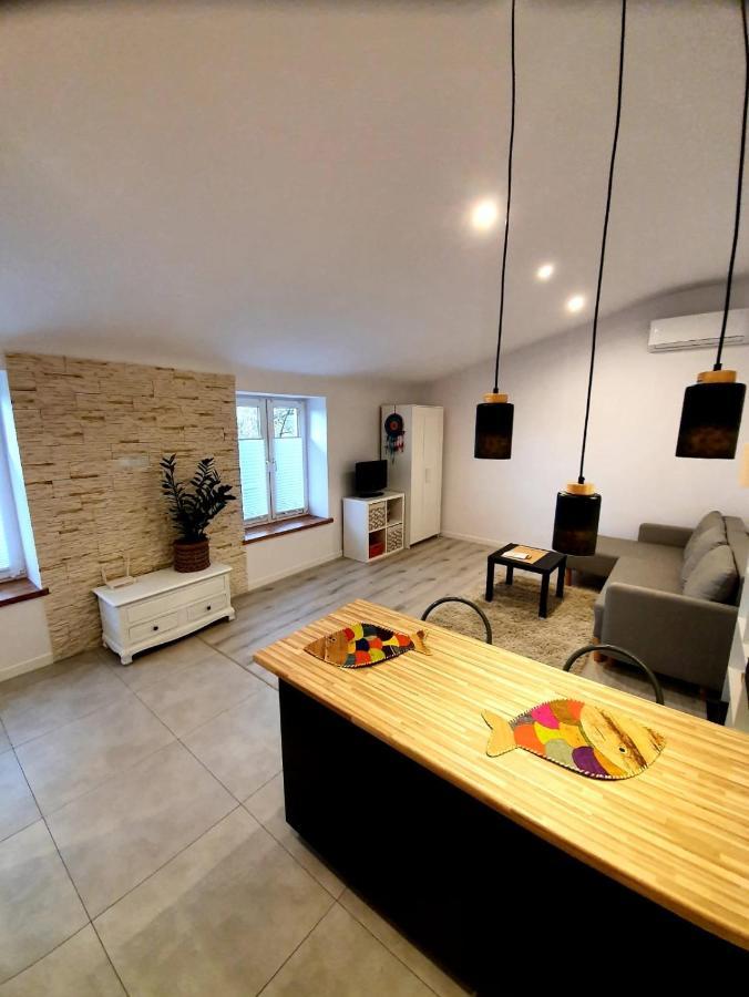 Borzecin Duzy Countryside Studio מראה חיצוני תמונה